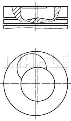 WILMINK GROUP Männät WG1260710